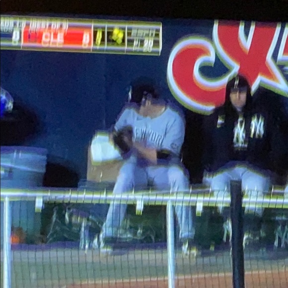 Meet your Posher, Leo - Picture 1 of 1